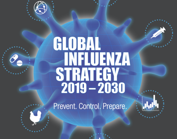 Global Influenza Strategy 2019-2030